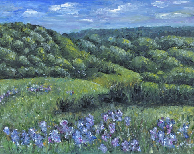 Flowers Irises California Landscape Scenery Wall Art Original Oil Painting 11x14in