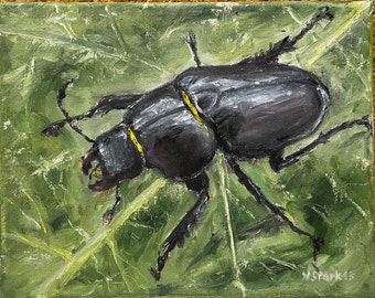 Black Beetle Scarab Stag Beetle Wall Art Original Oil Painting 10 x 8 in