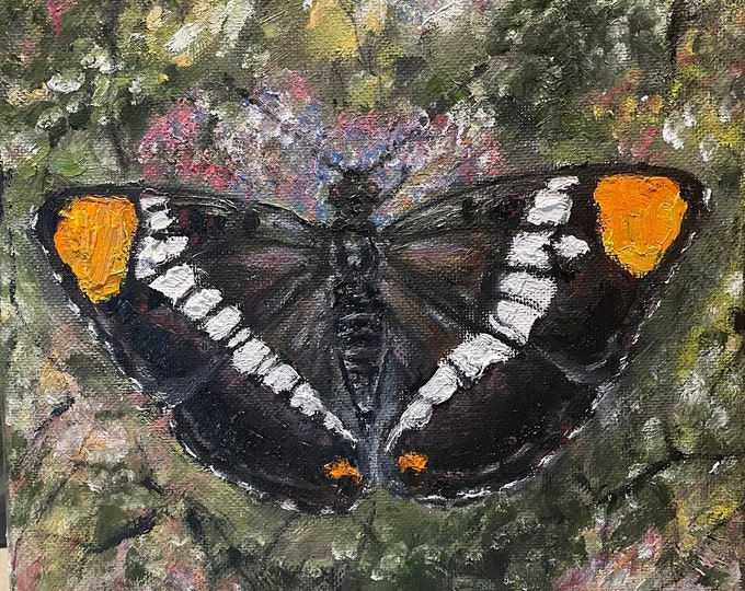 Black, Orange, White Butterfly Wall Art Original Oil Painting 8 x 8 in