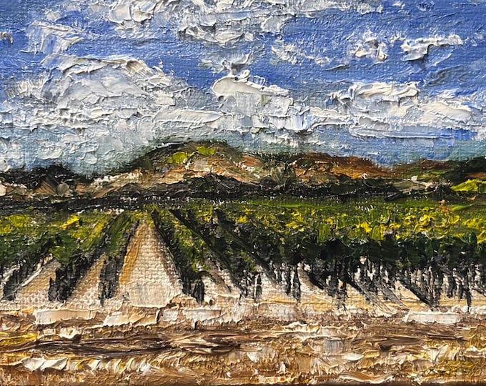 Napa Valley Vineyard Landscape Original Oil Painting Wall Art 12"x4"
