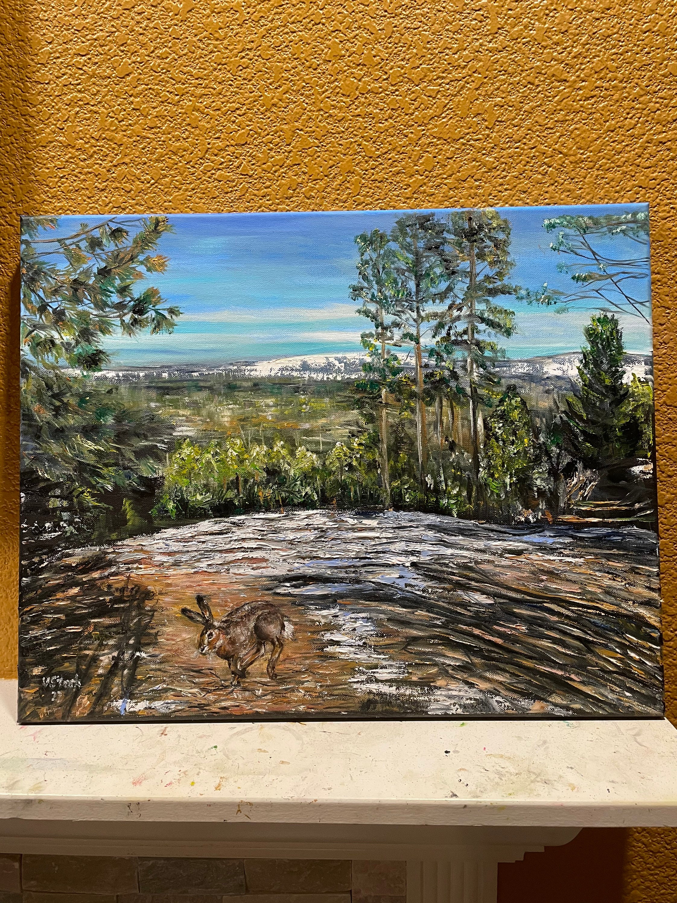 gallery photo