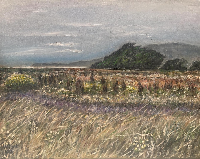 Half Moon Bay California Original Oil Painting, Wildflower Meadow Landscape, Coastal California Art, Nature Wall Decor