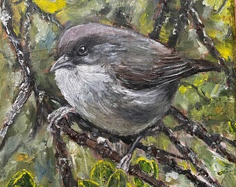 A Tiny Grey Bird on a Tree Brunch Wall Art Original Oil Painting 8" x 8"