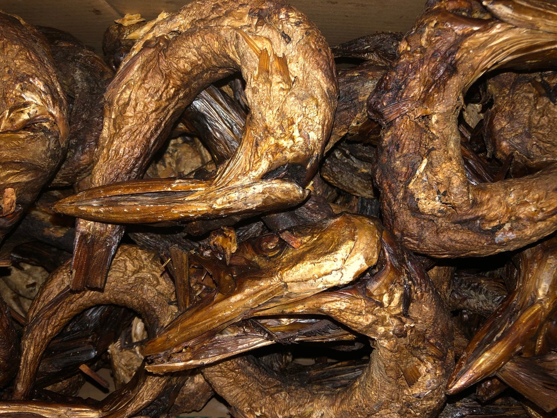 Smoked/Dry Barracuda fish wild caught Etsy