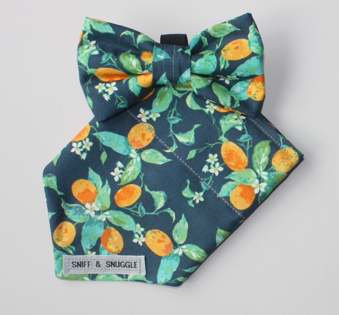 Handmade Dog Bandana Sweet Clementine Etsy
