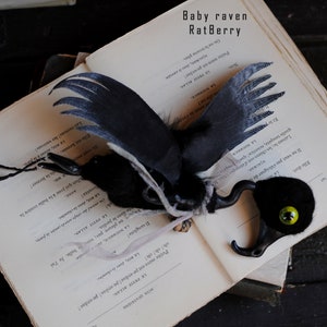 K&ouml;nnte beinhalten: Eine schwarze und wei&szlig;e Rabenfigur mit einem gr&uuml;nen Auge, die auf einem ge&ouml;ffneten Buch mit dem Text "Baby raven RatBerry" auf dem Cover sitzt.