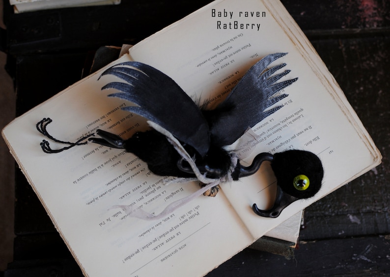K&ouml;nnte beinhalten: Eine schwarze und wei&szlig;e Rabenfigur mit einem gr&uuml;nen Auge, die auf einem ge&ouml;ffneten Buch mit dem Text "Baby raven RatBerry" auf dem Cover sitzt.