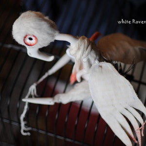 Anhänger White Raven von RatBerry. Diese Kette wird von BJD hergestellt.