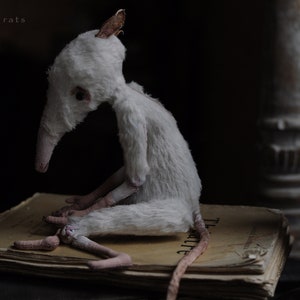 ADULT White boy rat/RatBerry. Creepy mouse art doll. Poseable creature. Miniature mouse figurine. Social-emotional toy. Aesthetics art doll.