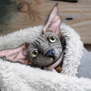 Sphinx Cat 8/12&quot;. Realistic doll cat sphynx by RatBerry. Different colors. Gift for cat lovers