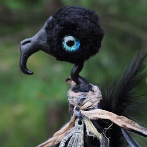 K&ouml;nnte beinhalten: Schwarzer Vogel mit einem blauen Auge und einem langen Schnabel. Der Vogel tr&auml;gt einen braunen Stofffuchs und hat einen langen Schwanz aus schwarzen Federn.