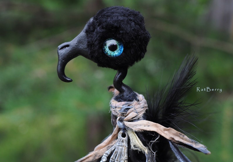 K&ouml;nnte beinhalten: Schwarzer Vogel mit einem blauen Auge und einem langen Schnabel. Der Vogel tr&auml;gt einen braunen Stofffuchs und hat einen langen Schwanz aus schwarzen Federn.