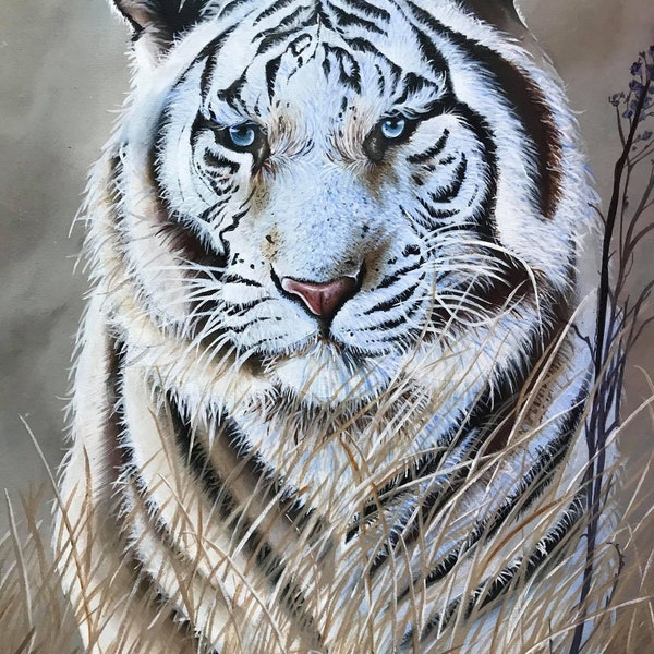 tigre blanc