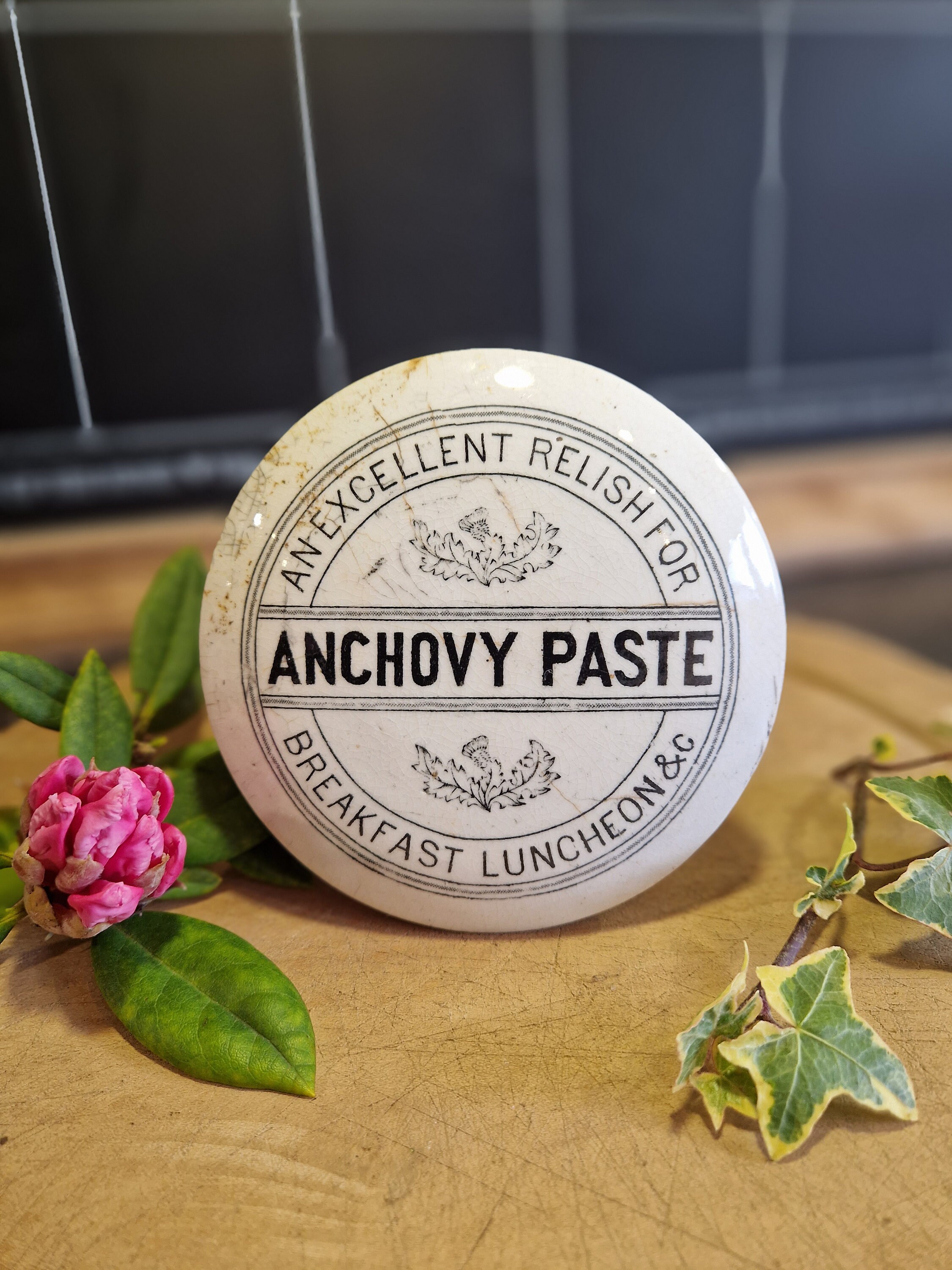 Anchovy paste pot - Etsy 日本