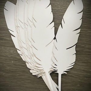 Plumes prédécoupées, plumes blanches, idéales pour les mariages, 15 cm de long, lot de 20