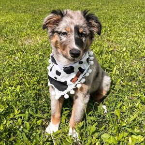 Cute Cow - SNAP ON Cow Print Pom Pom Boho Hippie Dog Bandana