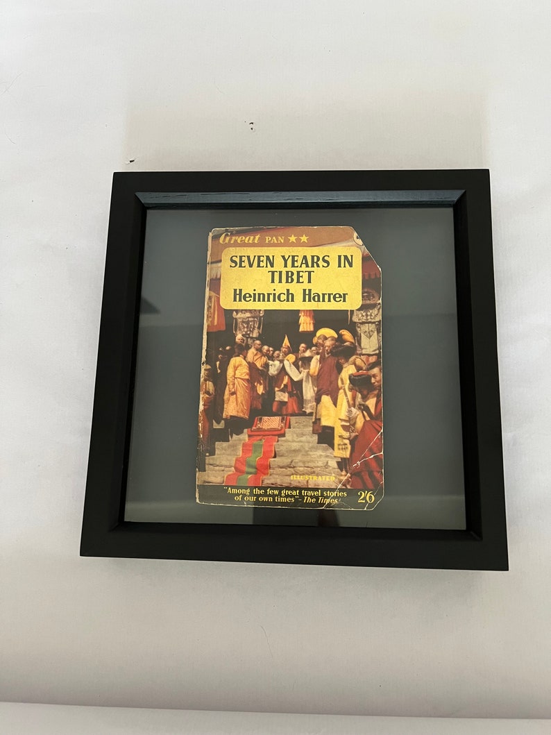 Zwevende vintage boekomslag Shadow Frame Artwork Uniek modern kunstcadeau Oscar Wilde afbeelding 3