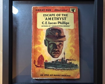 Schwebender Vintage-Bucheinband mit Schattenrahmen, einzigartiges modernes Kunstgeschenk – Escape of the Amethyst