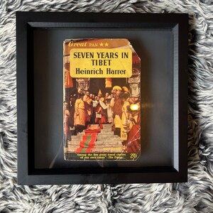 Zwevende vintage boekomslag Shadow Frame Artwork Uniek modern kunstcadeau Oscar Wilde afbeelding 7