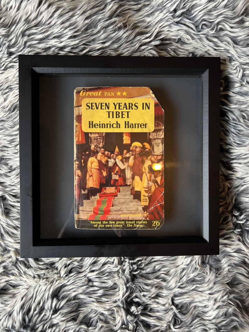 Zwevende vintage boekomslag Shadow Frame Artwork Uniek modern kunstcadeau Oscar Wilde afbeelding 7