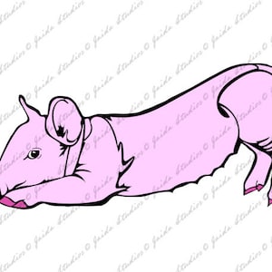 Pig- SVG/PNG File - Digital Download