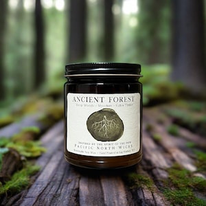 Ancient Forest Candle, Woodsy Earthy Scented Candle, Luxury Rustic Fragrance, PNW Forest Inspired, Eco Friendly Soy Wax, Amber Glass Jar