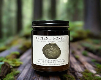 Ancient Forest Candle, Woodsy Earthy Scented Candle, Luxury Rustic Fragrance, PNW Forest Inspired, Eco Friendly Soy Wax, Amber Glass Jar