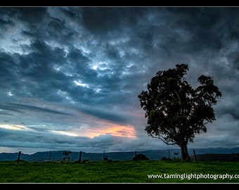 Dakobed Sunrise