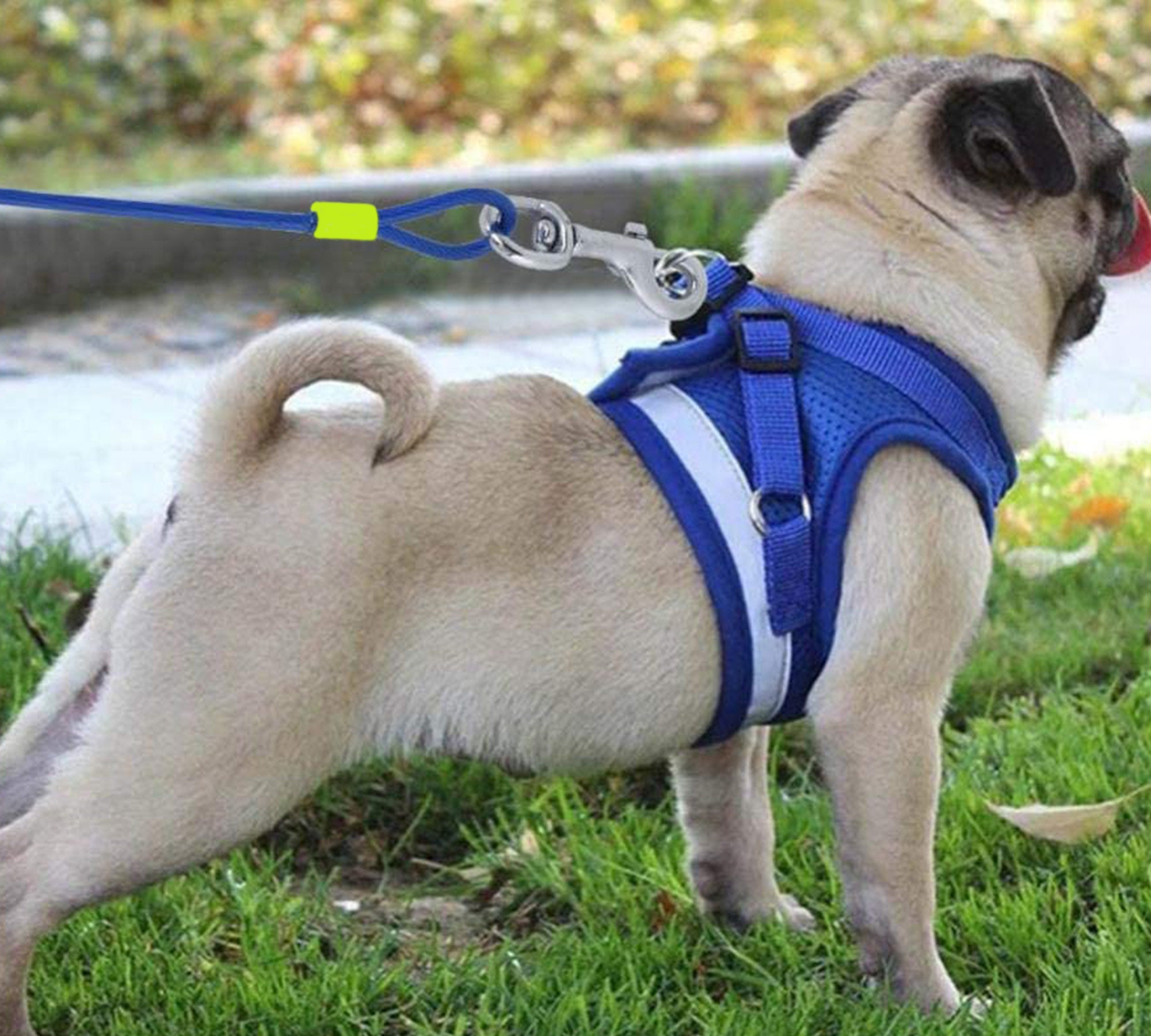 Starke Hund Leine blei Pet Tie Out Kabel für Hunde 30 Füße Etsy