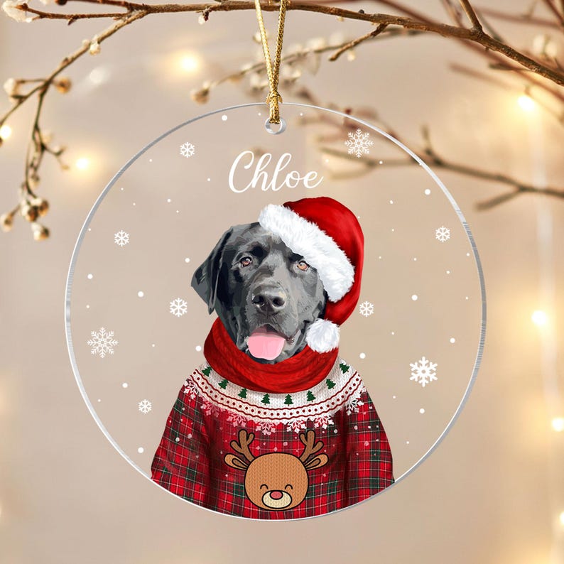 Personalized Christmas Pet Photo Ornament, Pet Lover Gifts,custom Dog