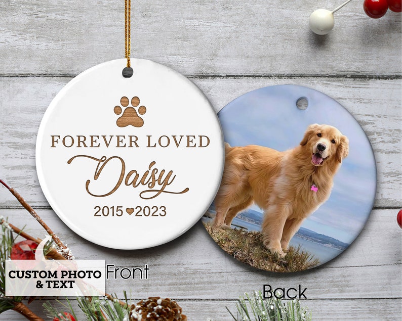 Pet Memorial Gift, Custom Pet Memorial Ornament With Photo, Dog Loss ...