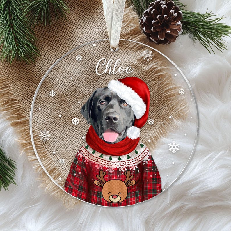 Personalized Christmas Pet Photo Ornament, Pet Lover Gifts,custom Dog