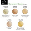 Bodylife Beauty Makeup Natural Mineral Concealers 2.5g