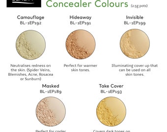 Bodylife Beauty Makeup Natural Mineral Concealers 2.5g