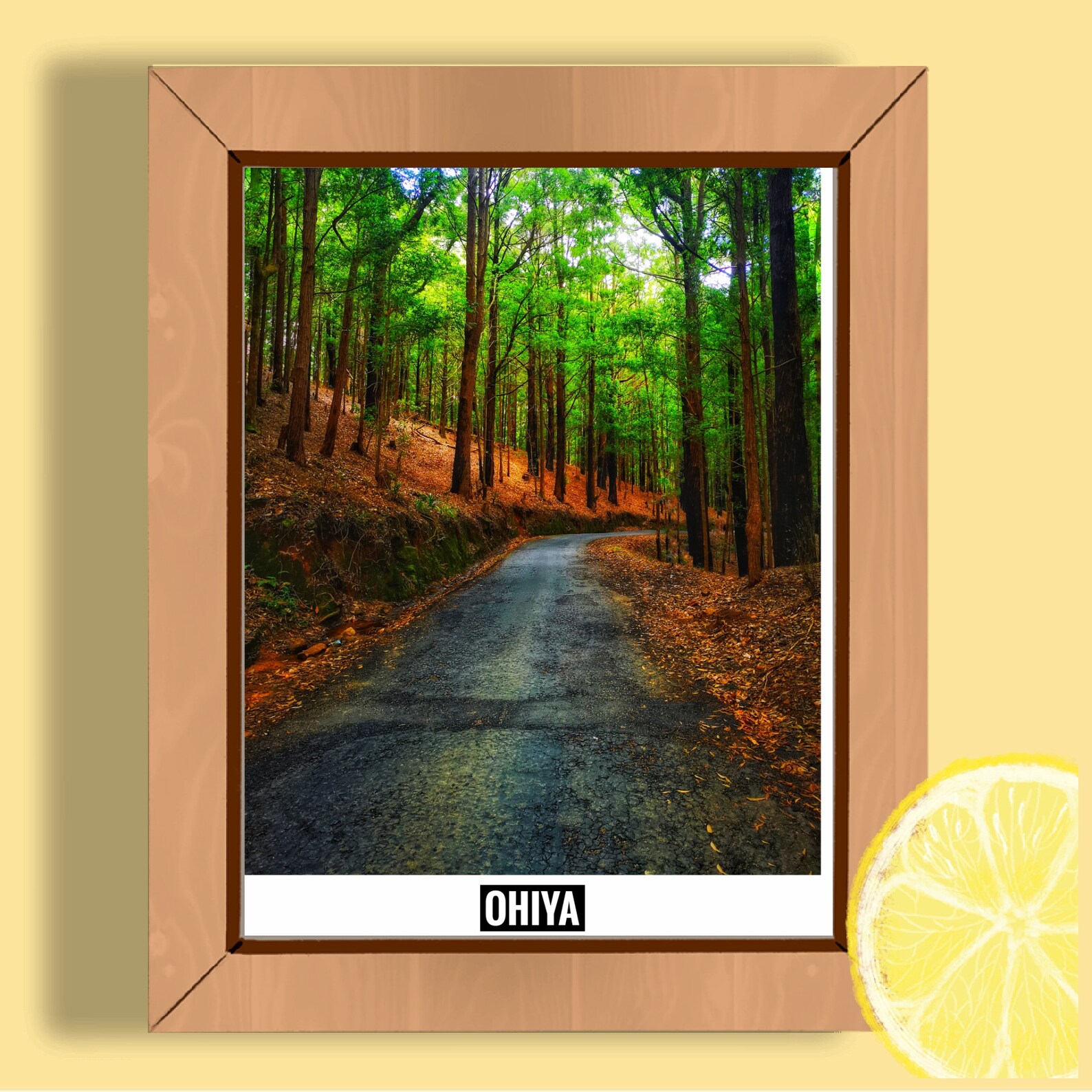 Sri Lanka Printable Wall Art Art Print Modern Wall Art | Etsy