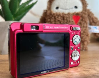 Pink Sony Cybershot DSC-W170 10.1MP Digital Camera With
