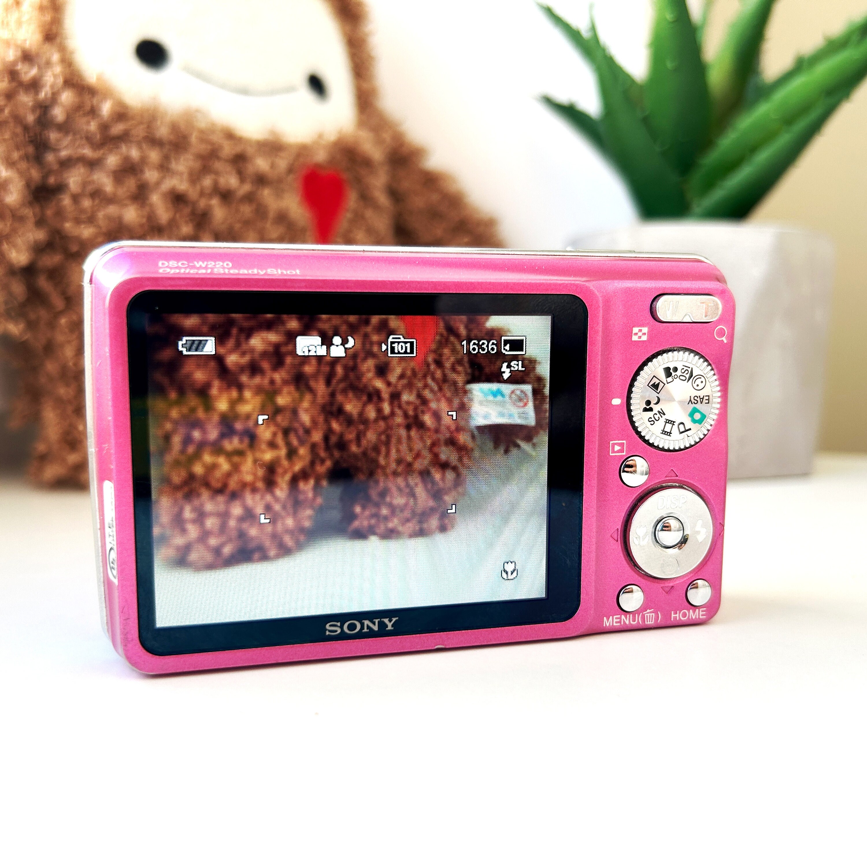 Pink Sony Cybershot DSC-W220 12.1MP Digital Camera With Pink Sony Cybershot DSC-W220 12.1MP Digital Camera With