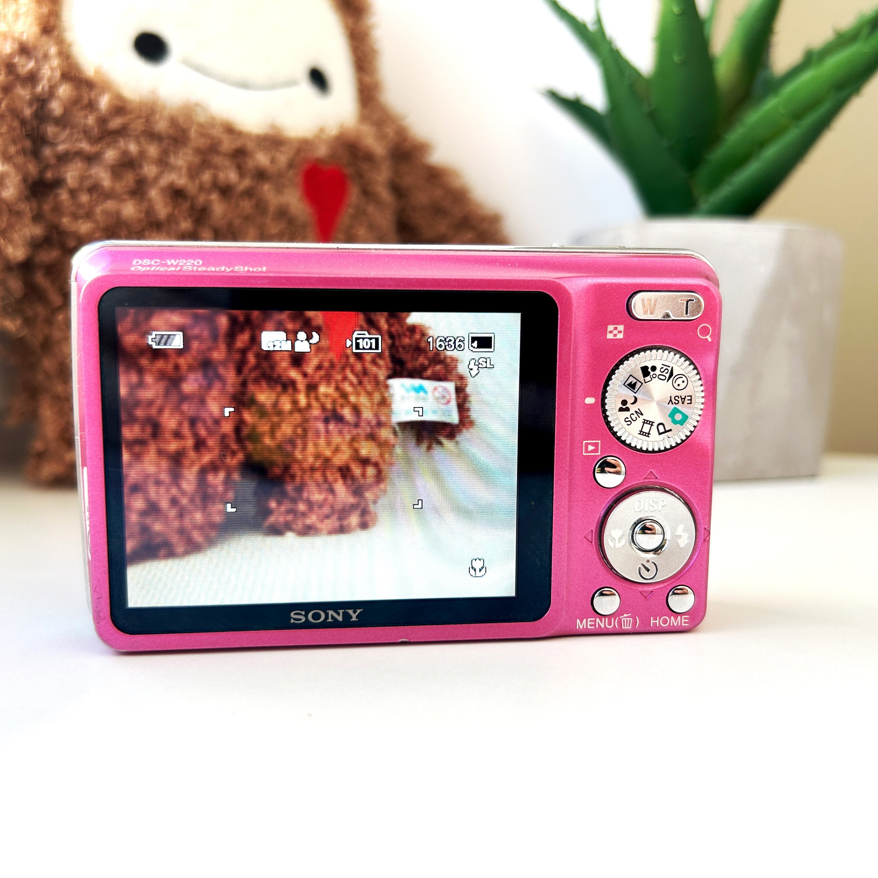 Pink Sony Cybershot DSC-W220 12.1MP Digital Camera With Pink Sony Cybershot DSC-W220 12.1MP Digital Camera With