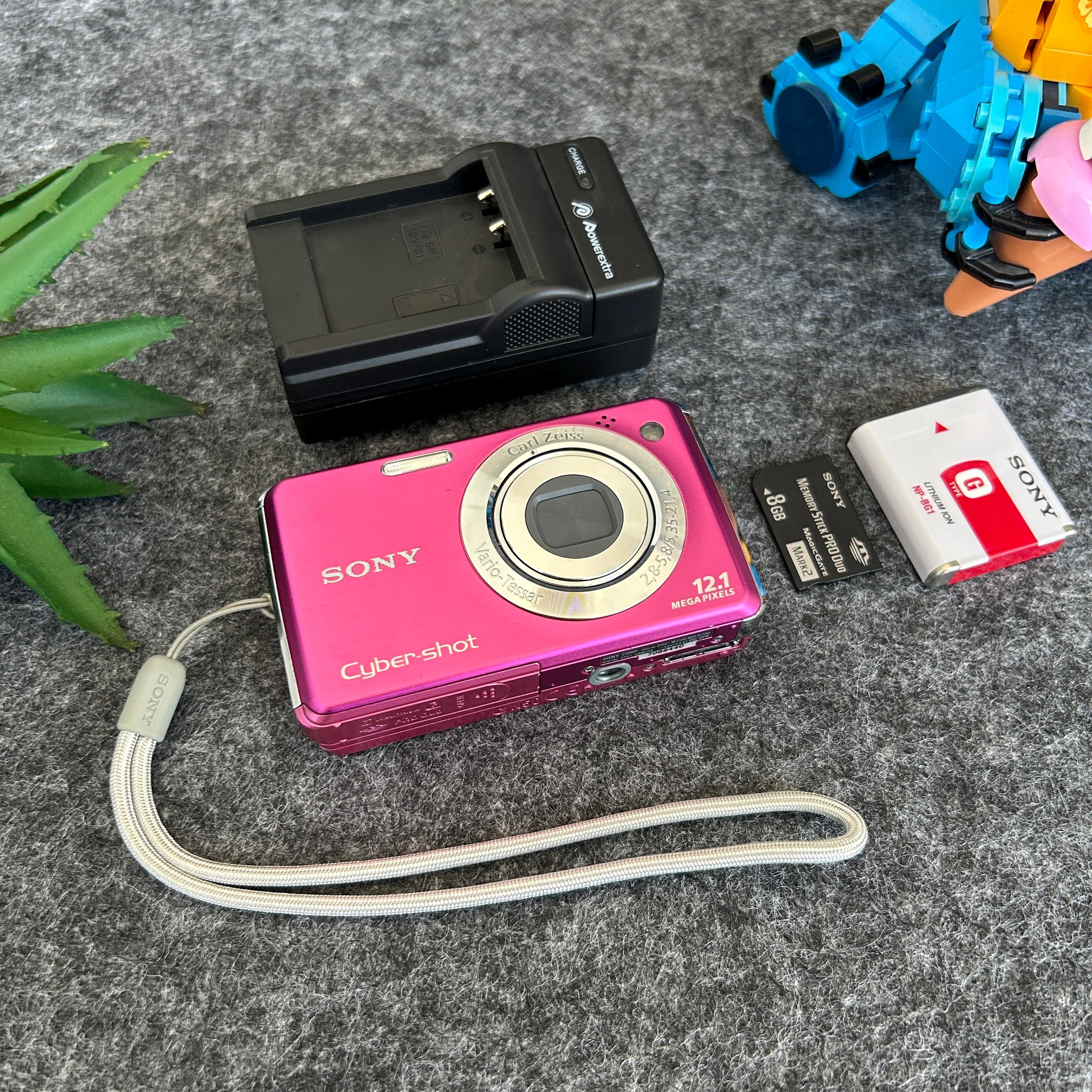 Amazon.com : Sony Cybershot DSC-W220 12MP Digital Camera