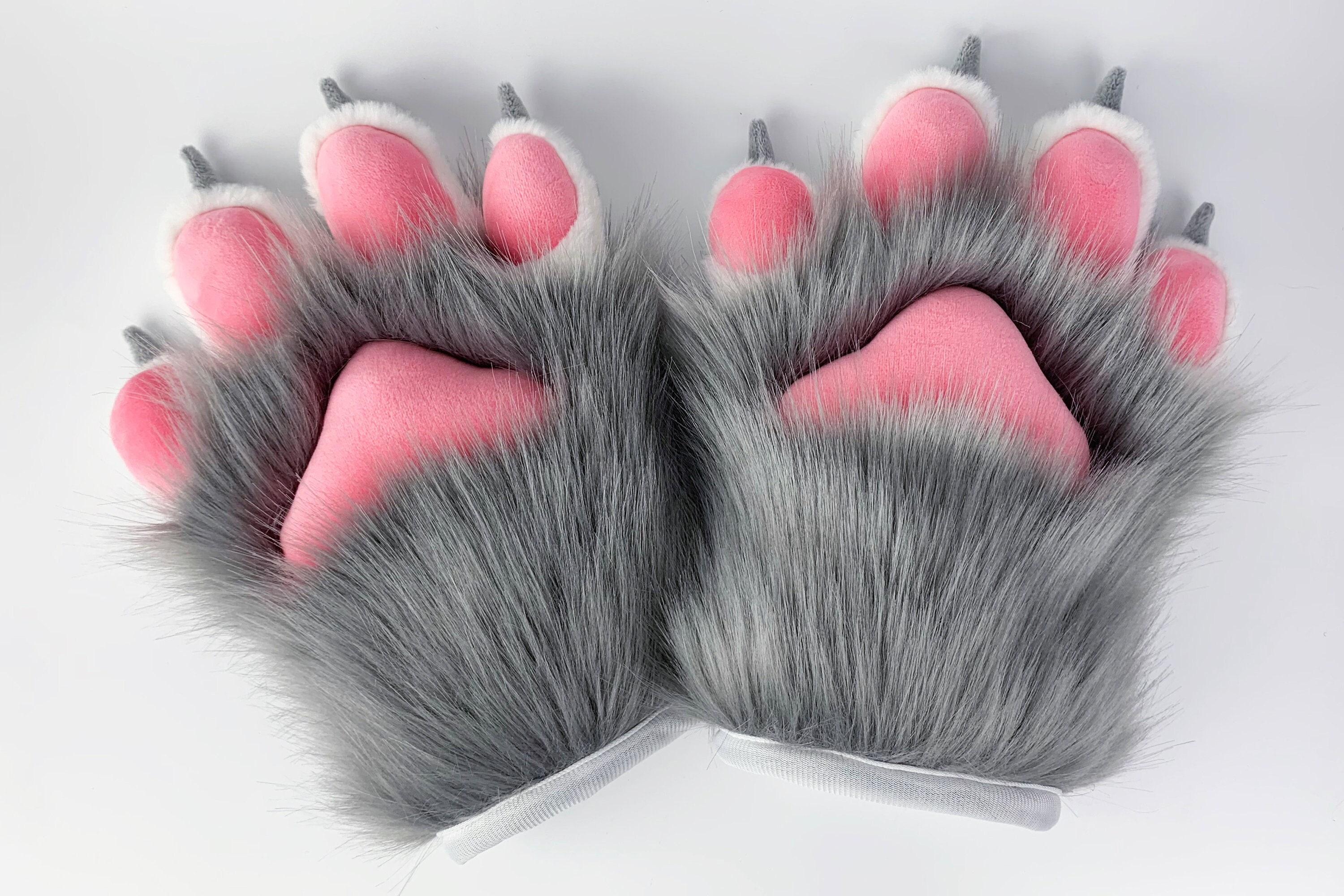 Fake Cat Paw ubicaciondepersonas.cdmx.gob.mx