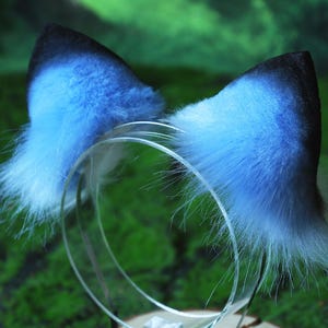 May include: A pair of blue and black faux fur cat ears attached to a clear plastic headband. The ears are fluffy with a gradient effect, transitioning from blue to black at the tips. The headband is thin and transparent.
