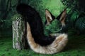 German shepherd dog tail and ear alsatian wolf dog faux fur furry shiba Inu dog ears and tail puppy kemonomimi animal cosplay wolf therian