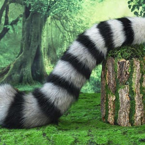 Pu&ograve; includere: Una coda in finta pelliccia a strisce bianche e nere, appoggiata su un ceppo d'albero coperto di muschio. La coda &egrave; soffice e curva, con uno sfondo di foresta. Il design della coda ricorda la coda di un procione.