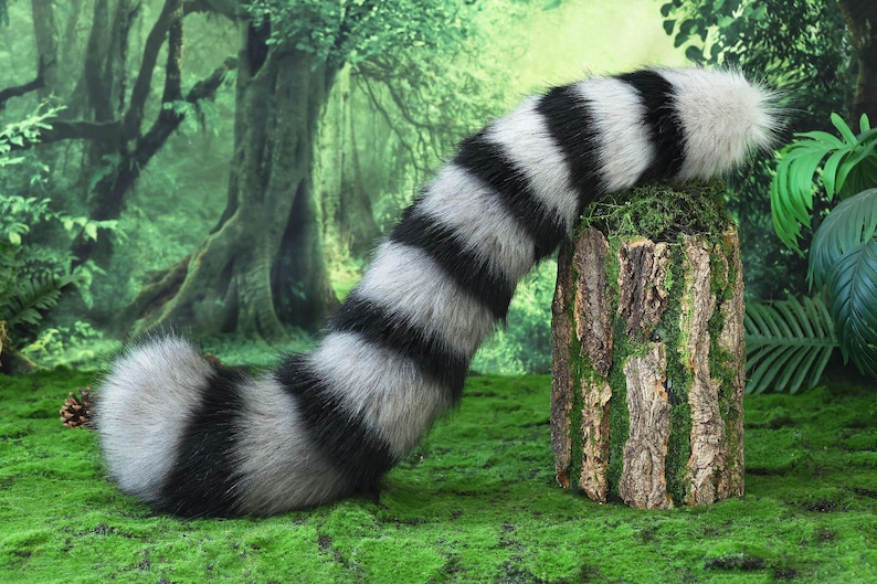 Pu&ograve; includere: Una coda in finta pelliccia a strisce bianche e nere, appoggiata su un ceppo d'albero coperto di muschio. La coda &egrave; soffice e curva, con uno sfondo di foresta. Il design della coda ricorda la coda di un procione.