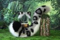 Realistic Gray Black Faux fur Snow Leopard Ear and Tail Set Role Play Snow Leopard Cosplay Ear and Tail Kemonomimi Christmas Gift