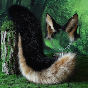 May include: A black, tan, and white fox tail and ear set. The tail is long and fluffy, with a gradient of colors. The ears are attached to a clear headband. The set is displayed on a bed of green moss, with a forest background.