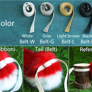 May include: Image showing four belt colors: white, gray, light brown, and black. The text "Belt Color" is at the top. Below are examples of a red and white tail with a ribbon and a belt.