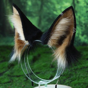 May include: A pair of faux fur animal ears on a clear headband. The ears are black, tan, and white, with a fluffy texture. The ears are decorated with small silver accents. The background is a blurred green.