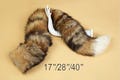 Real fox fur fox tail cosplay wolf tail cat tail kitten tail petplay tail kittenplay tail anime cosplay tail furry tail soft animal tail
