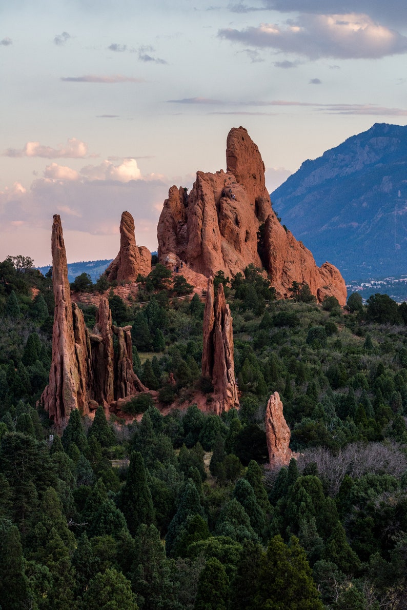 May include: A view of Garden of the Gods in Colorado Springs, Colorado. The red rock formations are surrounded by evergreen trees. The sky is a soft blue with white clouds.